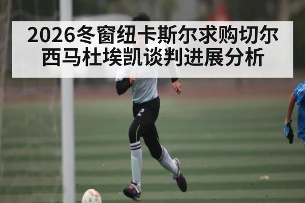 2026冬窗纽卡斯尔求购切尔西马杜埃凯谈判进展分析